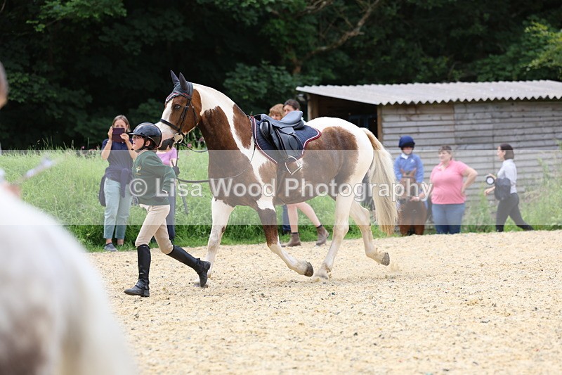 3E7A9425 - Walk trot run