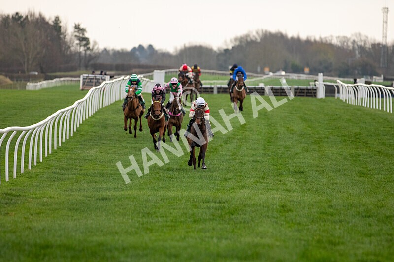 171224-Race 2-Bust A Move-9993 - Race 2