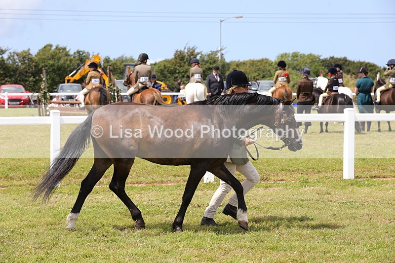 1X9A4716 - Class 35: Veteran In Hand