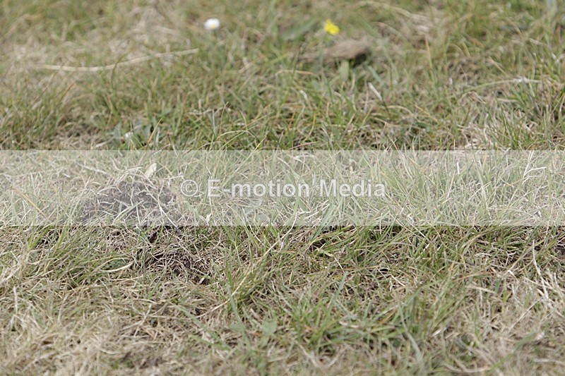 BVHT 140517 I-770 - Class 1 SJ Intermediate 14/05/17