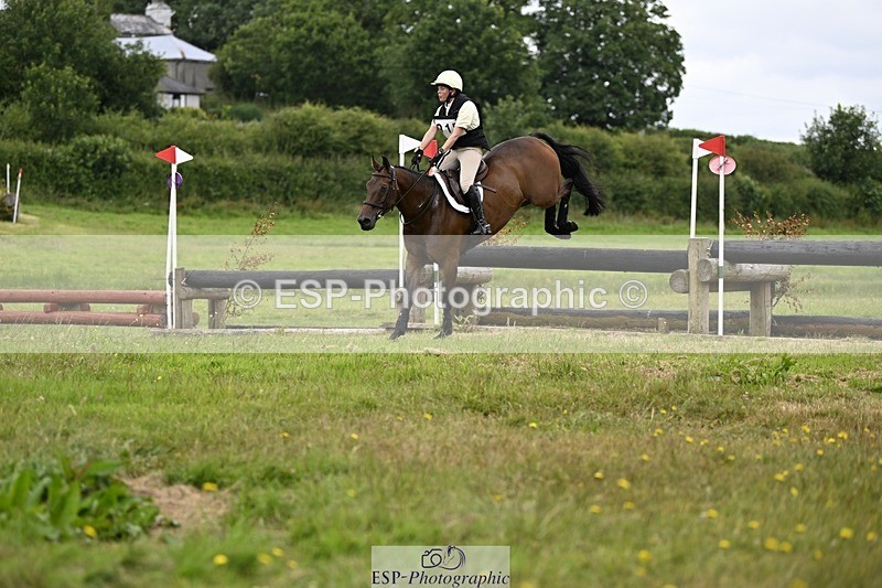 240630-122850-00870 - 915-Amanda_Wreford-Brown-Midsummer_Dazzle