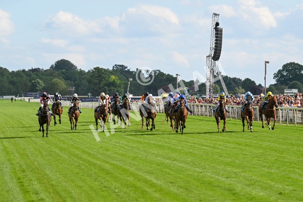280625-Race 7-Titian-1273 - Race 7 5.25pm Al Basti Equiworld Dubai Amateur Jockeys' Handicap