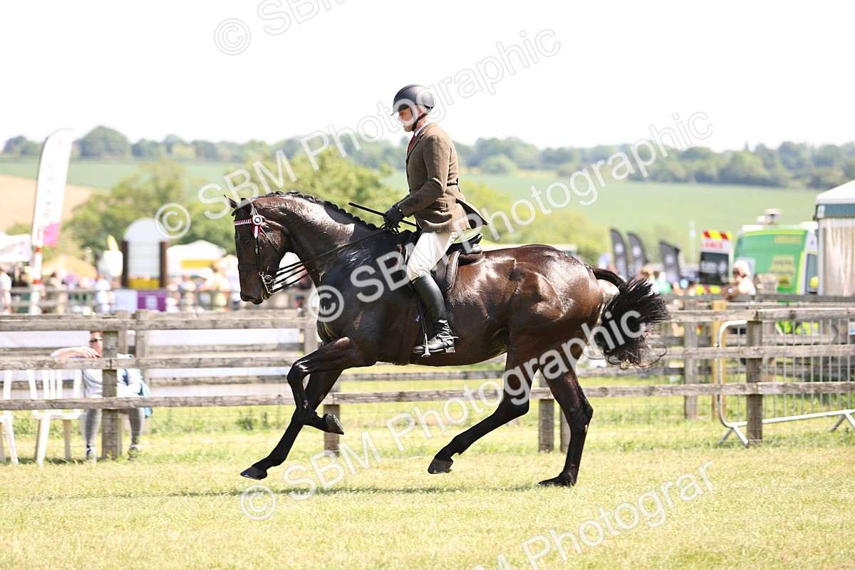 SBM_14928 - Class 78 - LIHS BSHA Open Racehorse & Show Horse