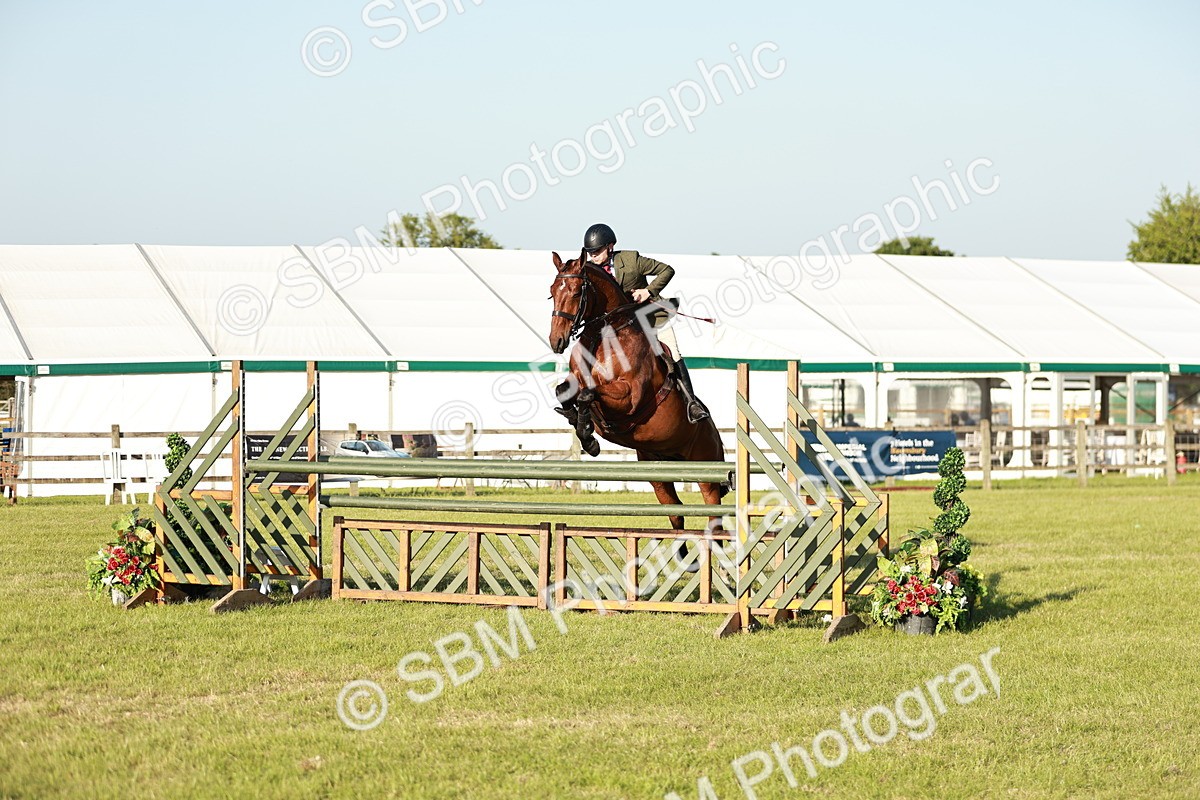 SBM_20364 - Class 117-119 - Sport Horse Working Hunter