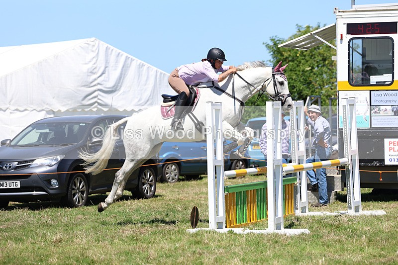 3E7A5664 - Class 9: Senior British Novice/90cm open