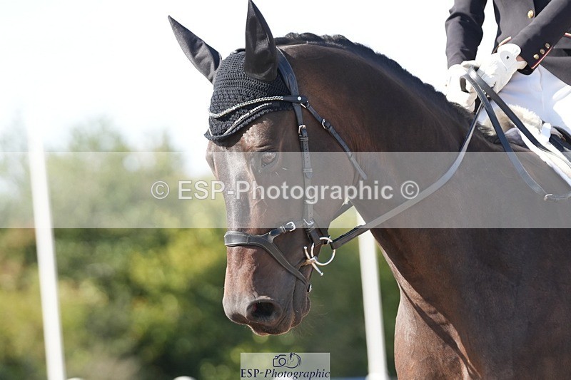 250906-155929-04926 - 100-Adele.RonchettiFamily.Affair