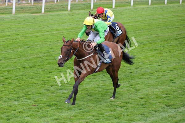 yr22072022r5-22 - Race 5 7.20pm British Stallion Studs EBF Lyric Fillies' Stakes