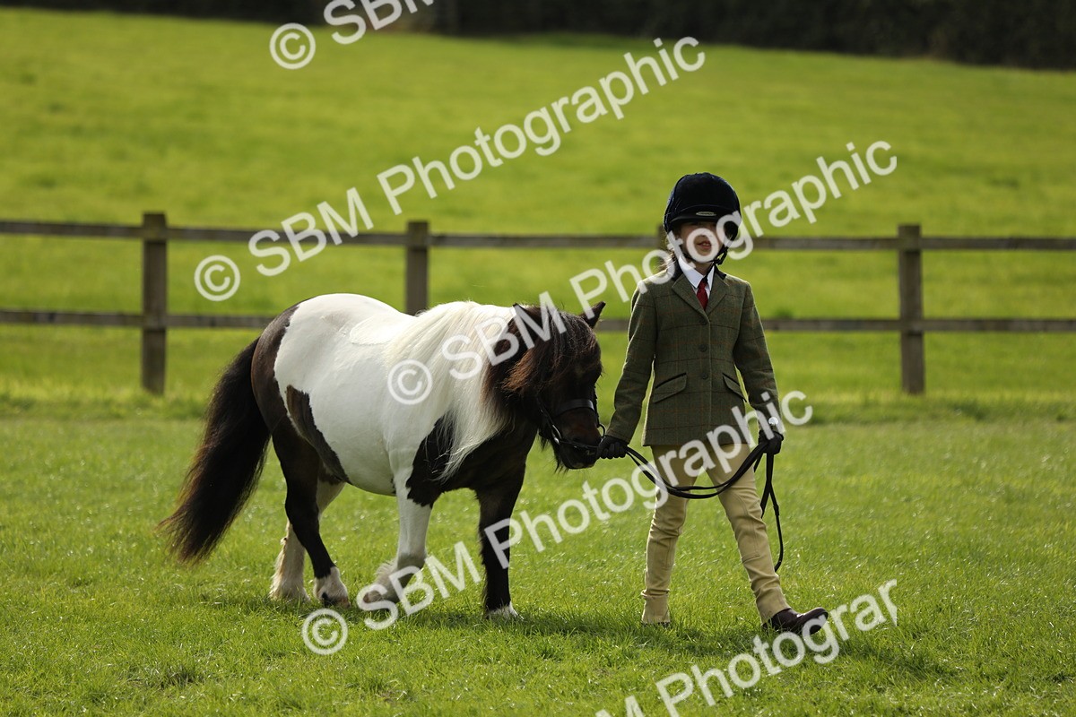 SBM_67686 - S39 - Junior Handler 8  Years & Under