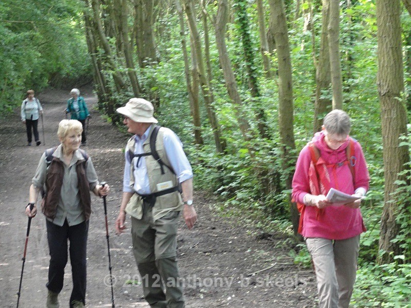 041 Beyond the Marina on the R Aire bank towards Mickletown - SAINT PAULINUS PILGRIMAGE TRAIL