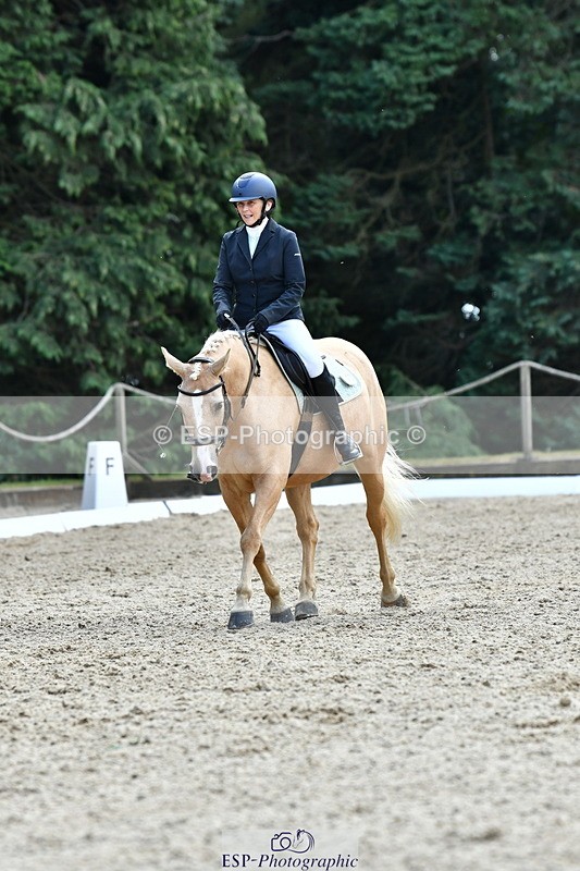 260801A-123819-04023 - Prelim Bronze Break - End