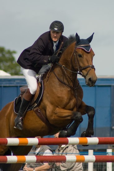 9 - Equestrian Photography