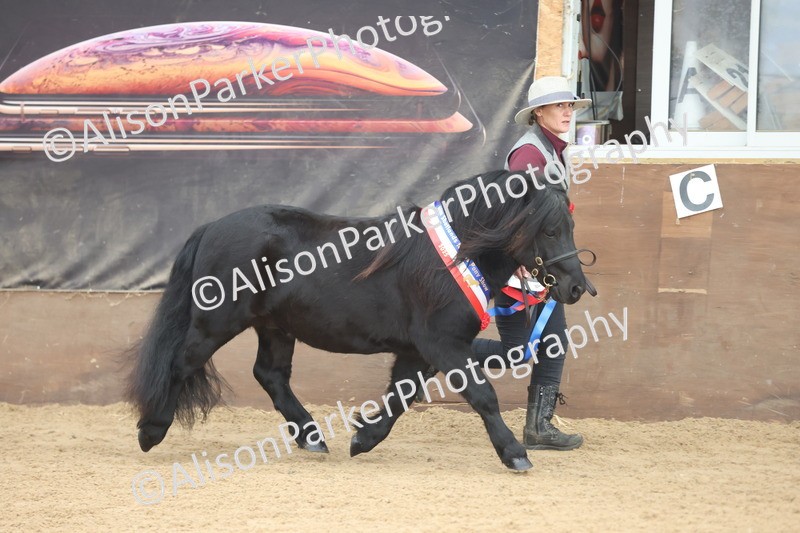 20251109-0140 - Championship