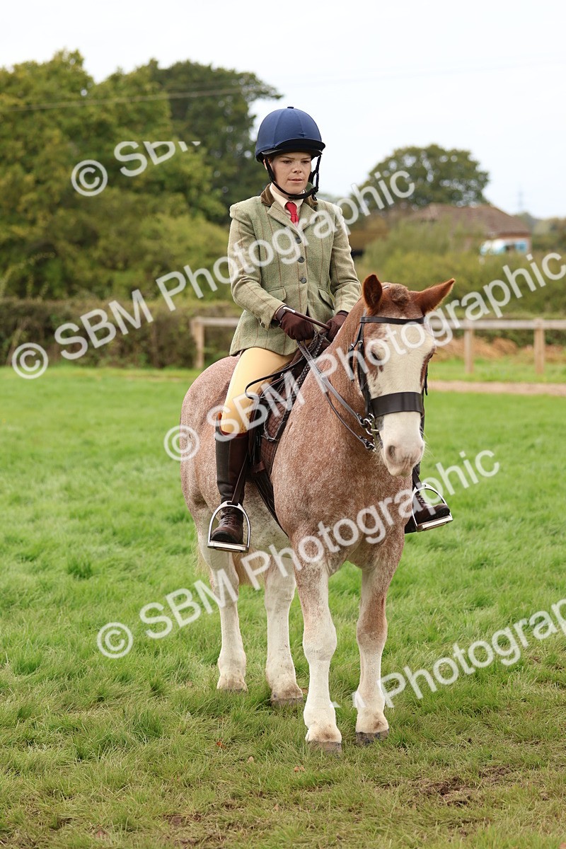 SBM_64605 - S58 - Coloured Pony Ridden