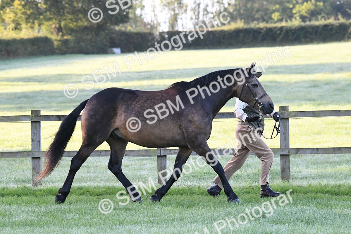 SBM_32514 - S15 - Condition & Turnout In Hand