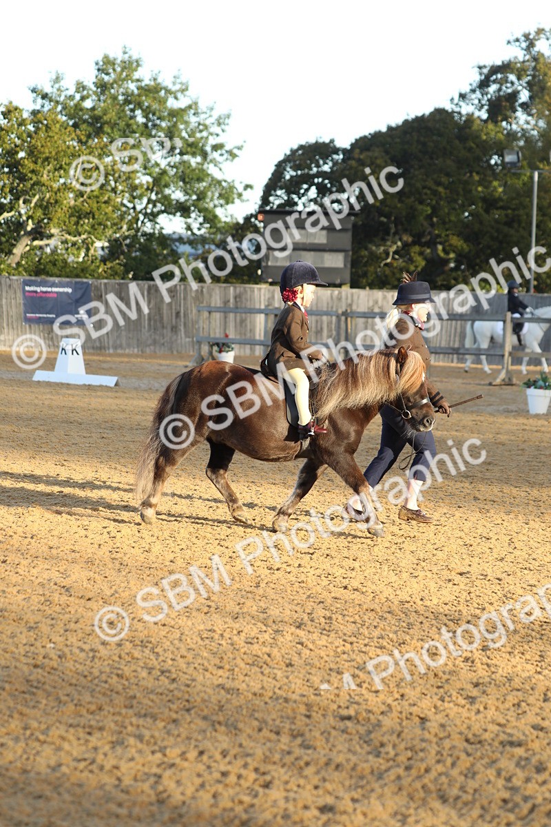 SBM_33533 - D26 - Starers - Lead Rein