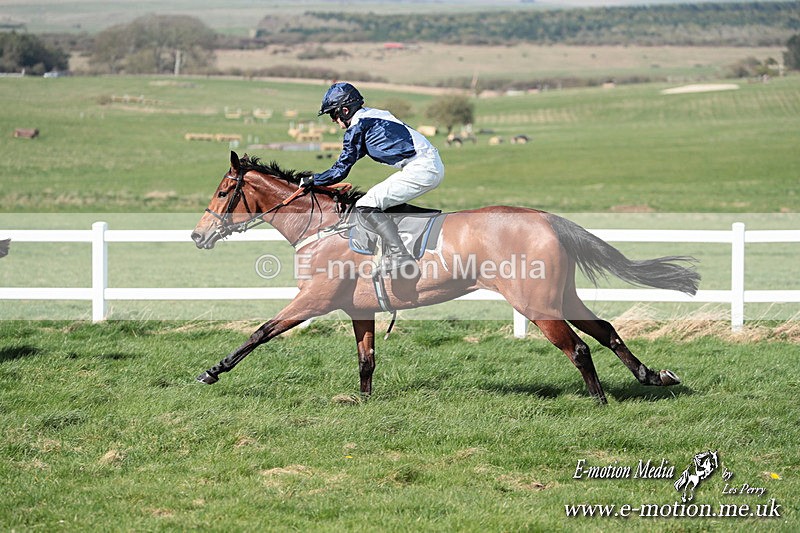 PtP 230324 613 - Tedworth Hunt PtP Larkhill Raccourse 23rd March 2024