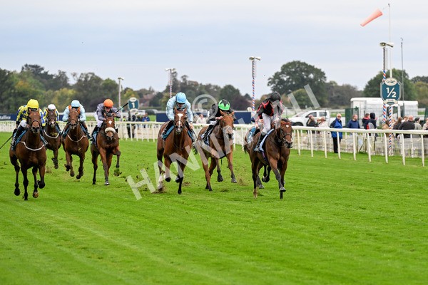 101025-Race 4-Thaluna-0291 - Race 4 William Hill Best Odds Guaranteed EBF Novice Stakes at York