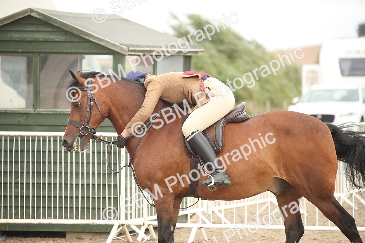 SBM_17648 - Class 508a - Working Veteran 70cm (15-19)