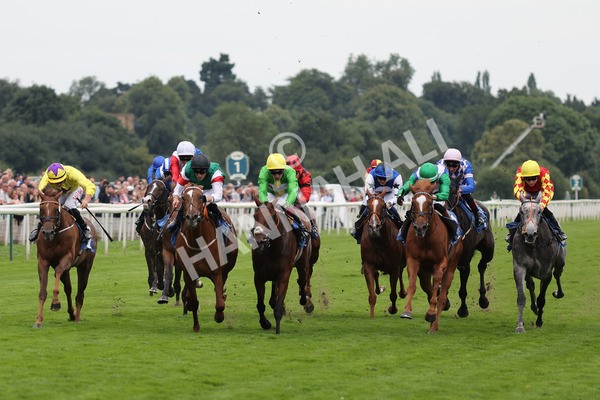 yr20082021r6-17 - Race 6 4.40pm Assured Data Protection British EBF Fillies' Stakes