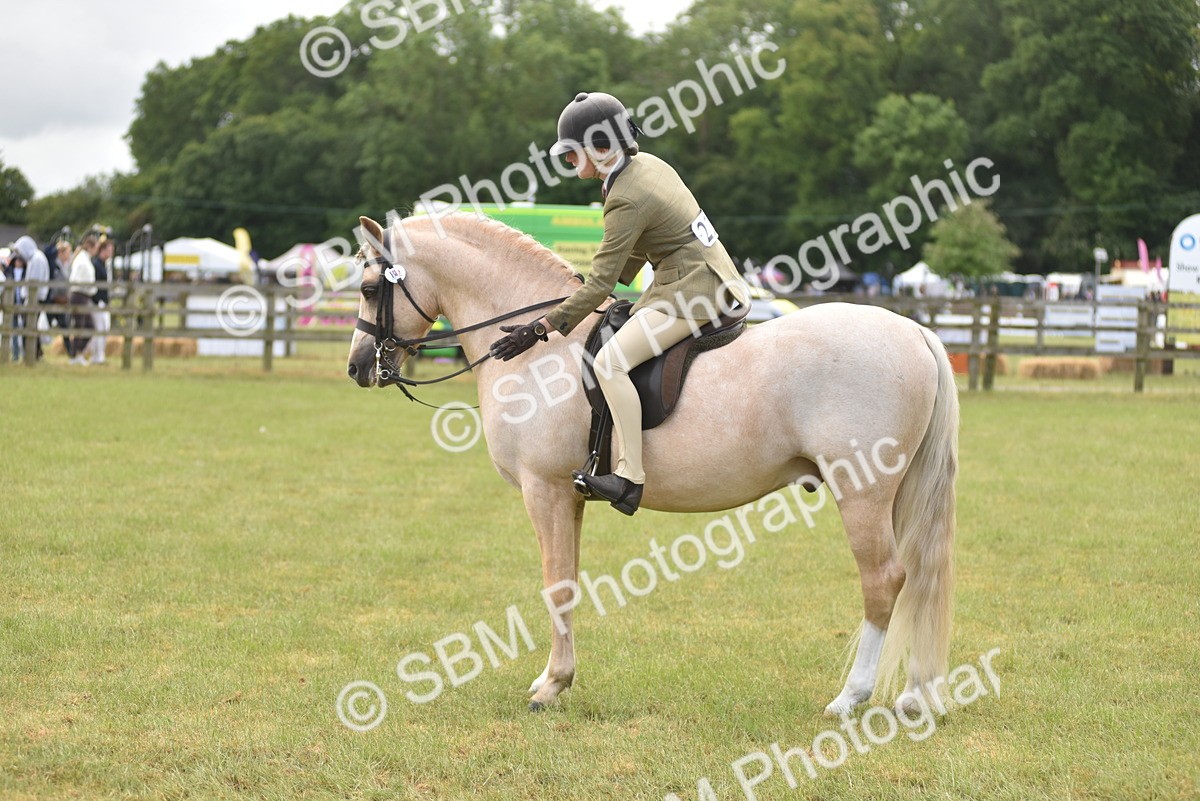 SBM_12136 - Class 110-112 - LIHS BSPS Performance Pones