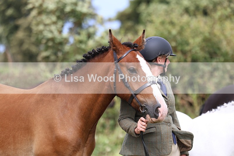 3E7A4642 - Class 16: Best Grass Kept