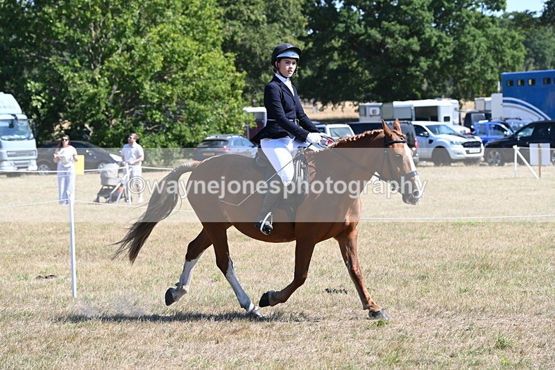 WJ6_8344 - Class 37a Best Loan Pony Ridden