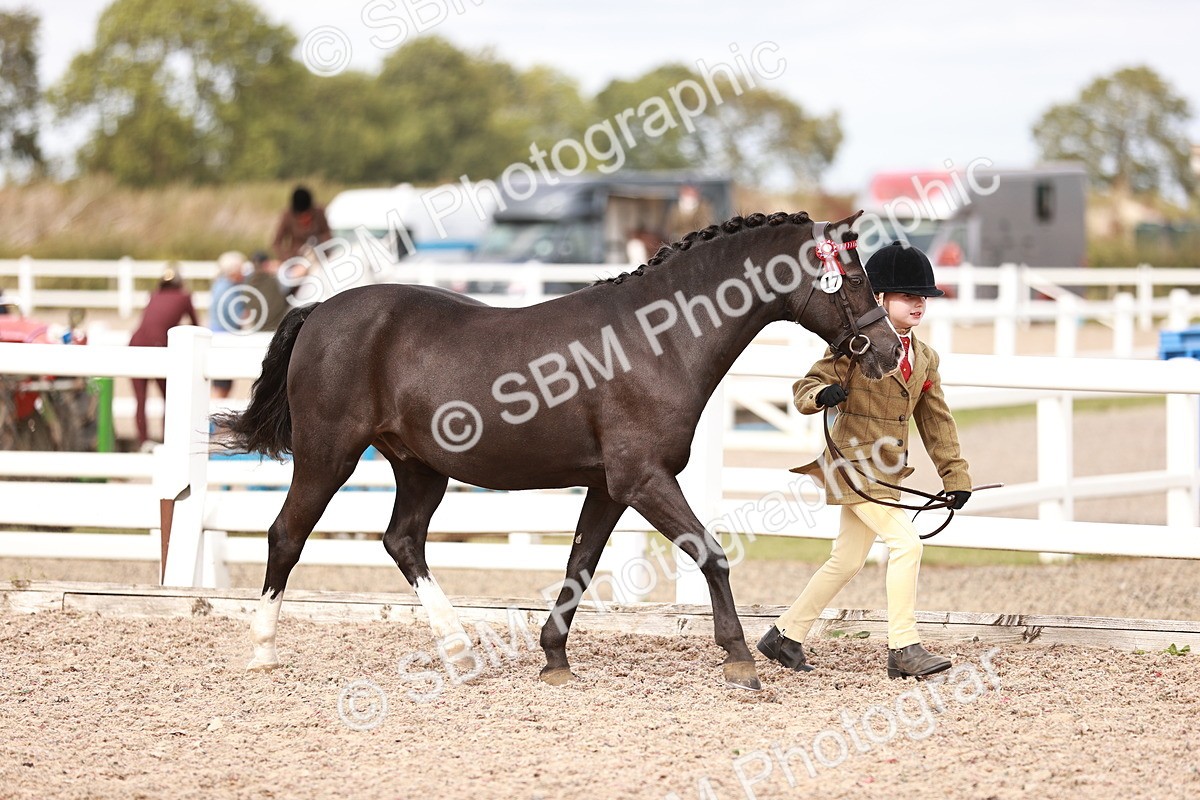 SBM_18363 - Class 418 - Best Condition - Jnr