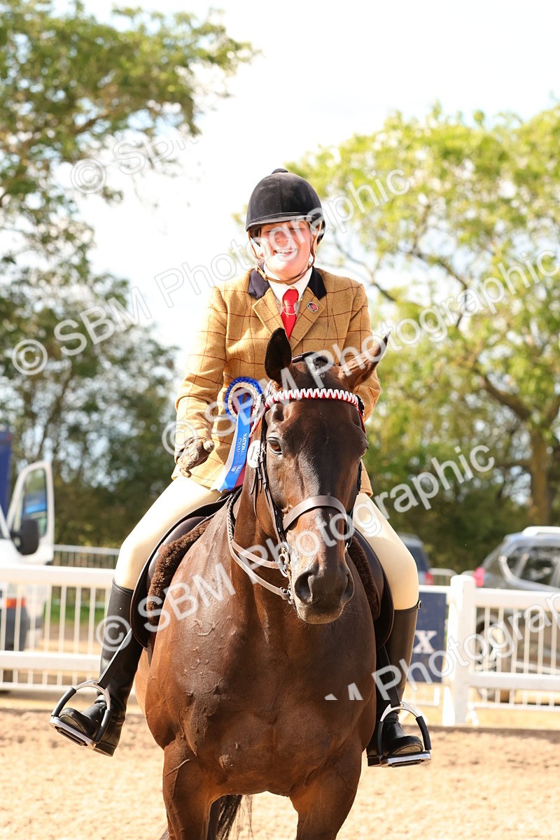 SBM_16295 - Class 217 - Ridden Retired Racehorse