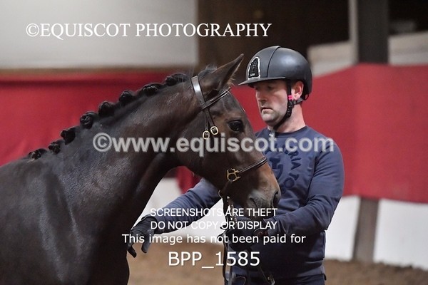 BPP_1585 - MORNING 9AM - 12PM