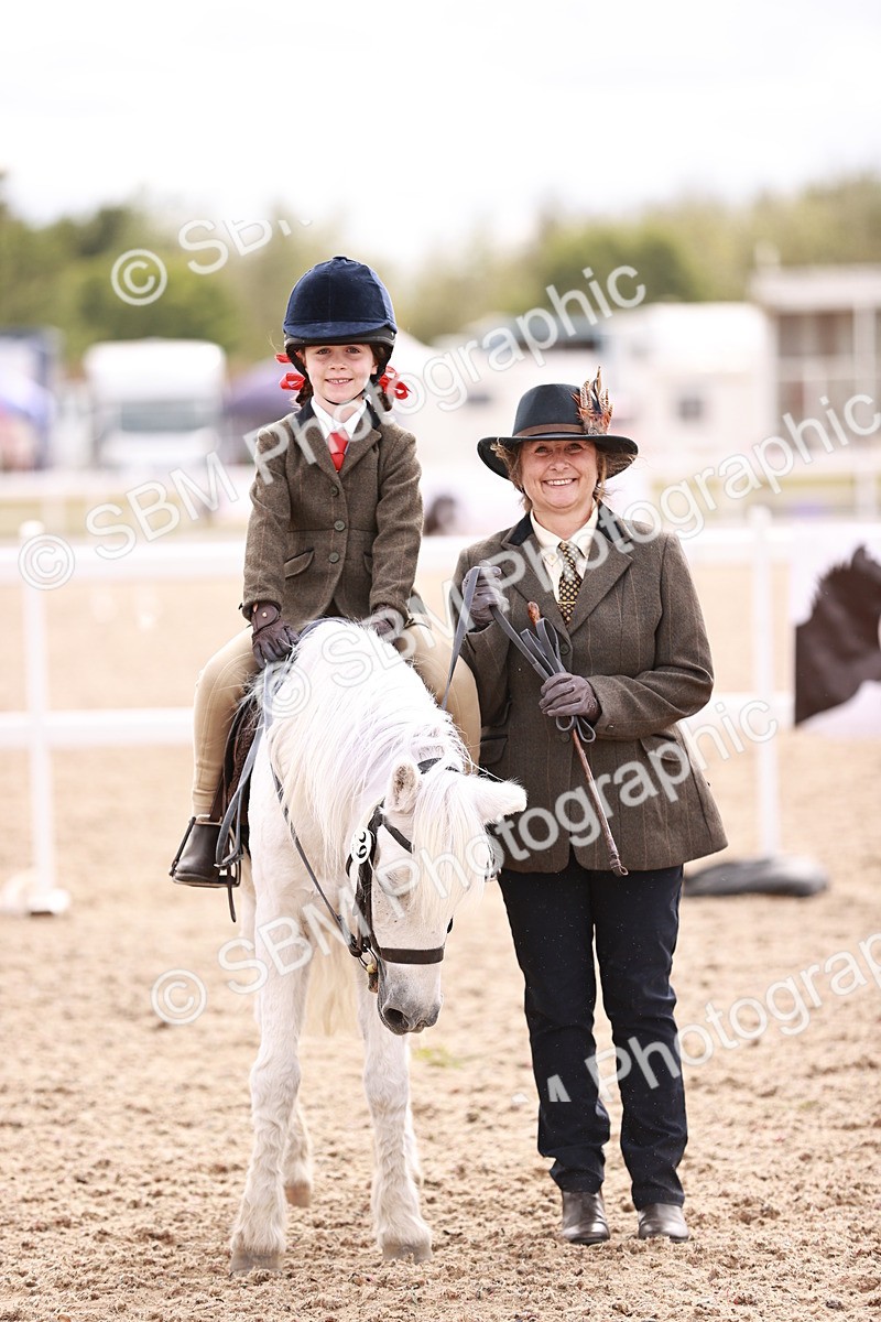 SBM_18299 - Class 417 - Handsome Gelding (IH or Ridden - JNR)
