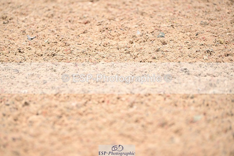 250620-140547-04134 - BD Cls 8 - Elementary 6