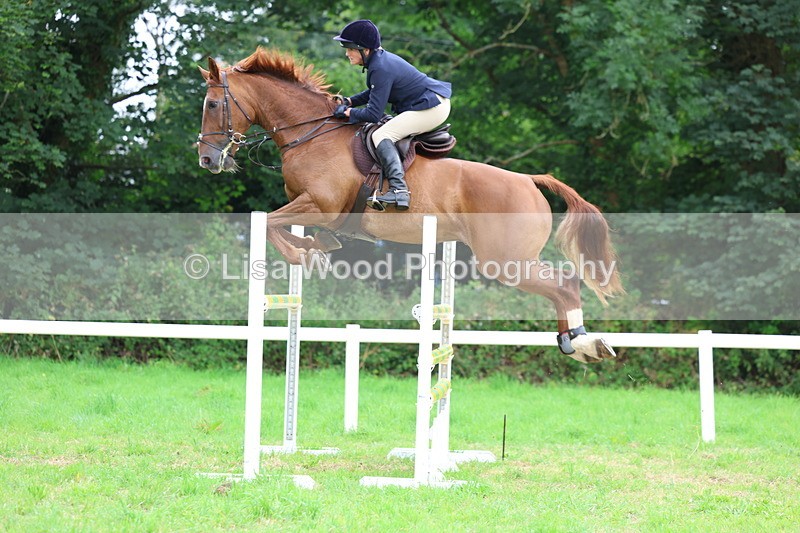 3E7A8592 - Class 8: Senior Foxhunter/1.20m open