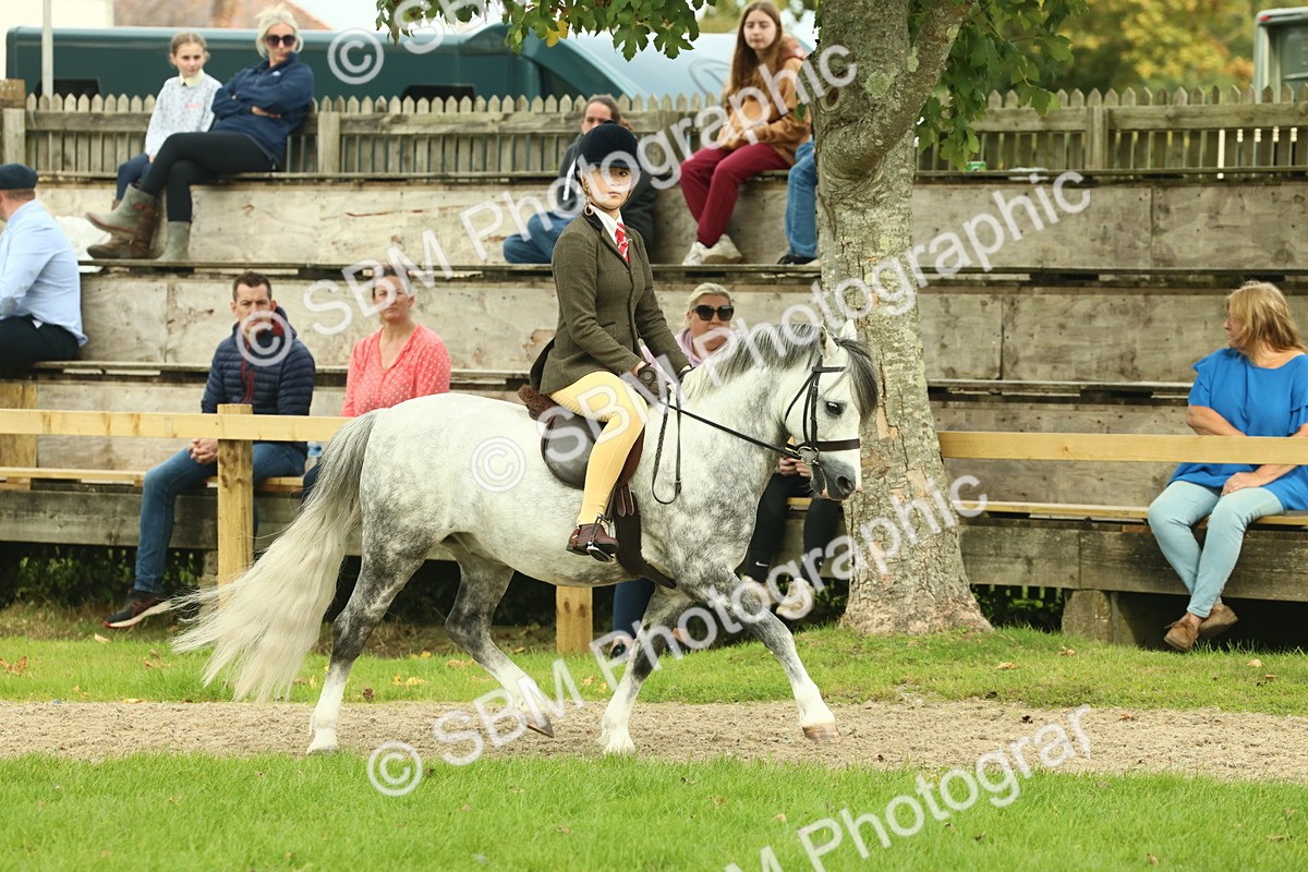 SBM_69854 - S59 - Mountain & Moorland Ridden Small Breeds