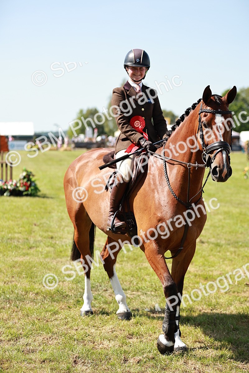 SBM_18461 - Class 112-113 - BSPS LIHS Working Sports Pony