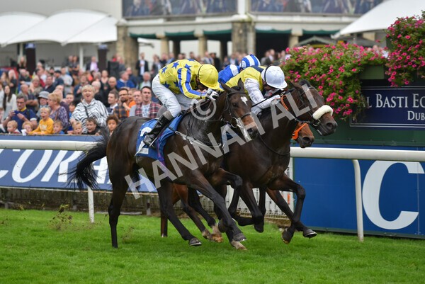 yr09102021r5-26 - Race 5 3.50pm Coral ebfstallions.com Novice Stakes
