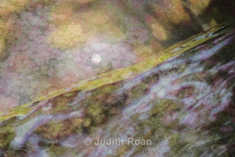 Yellow Ribbon, Moon and Azalea - Photo Montages