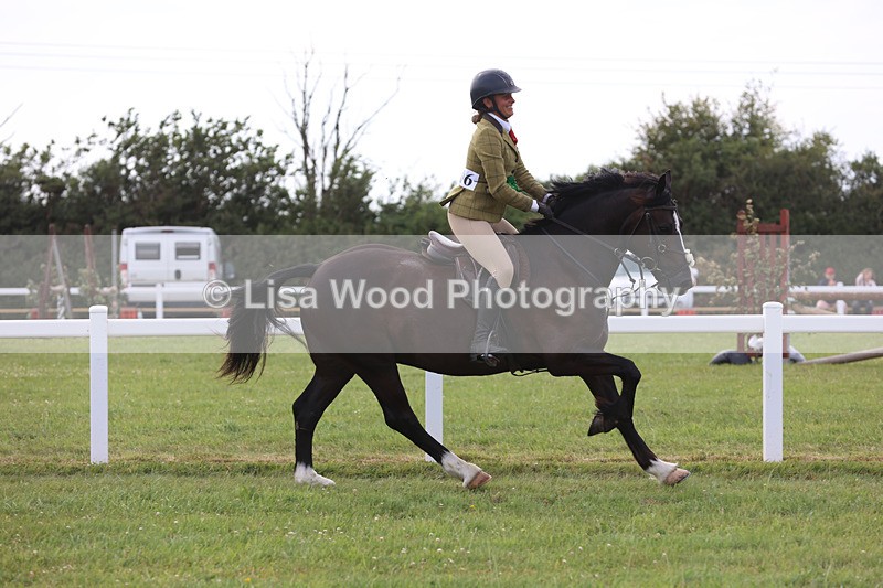 JPP_4149 - Class 24: Working Hunter 90cm