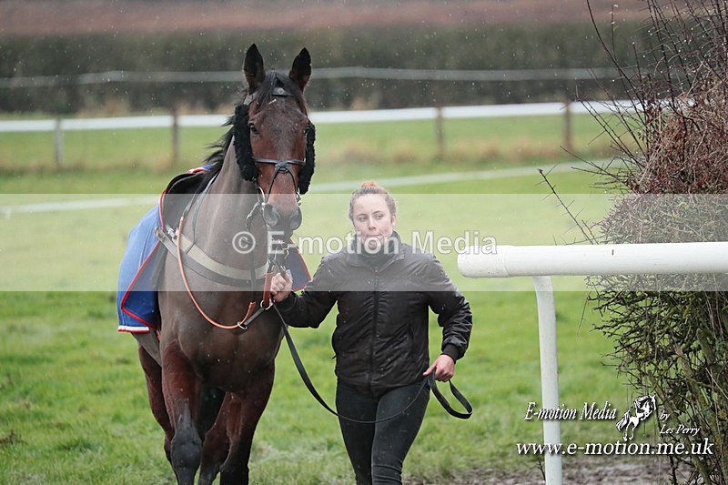 PtP 031223 609 - Wheatland Hunt PtP Chaddesley Races 03/12/23