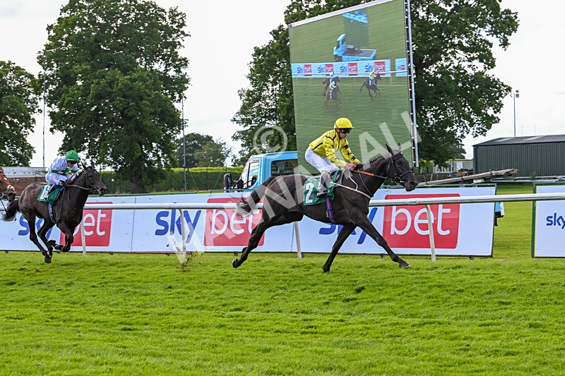 160624-Race 4-Align The Stars-8826 - Race 4