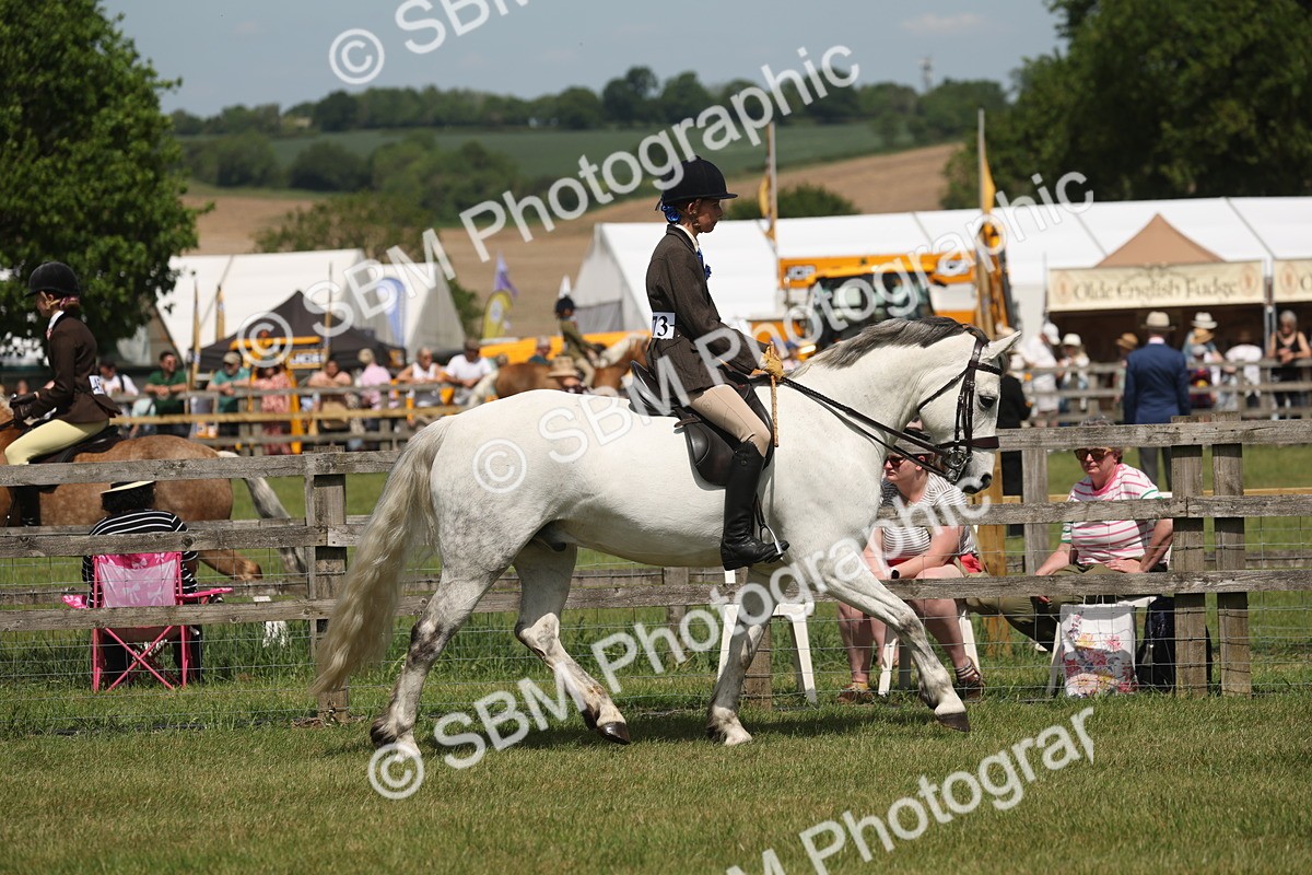 SBM_07583 - Class 26-30 - Mountain and Moorland Ridden