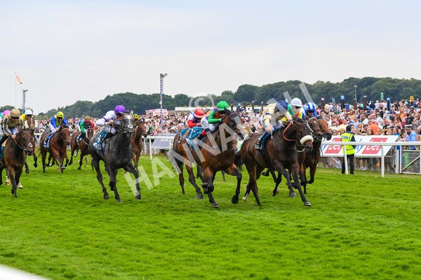 170623-Race 4-Quinault-0627 - Race 4 3.40pm Oakmere Homes Supporting Macmillan Sprint Handicap