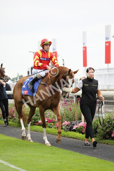 yr23072022r2-5 - Race 2 2.40pm Sky Bet Dash