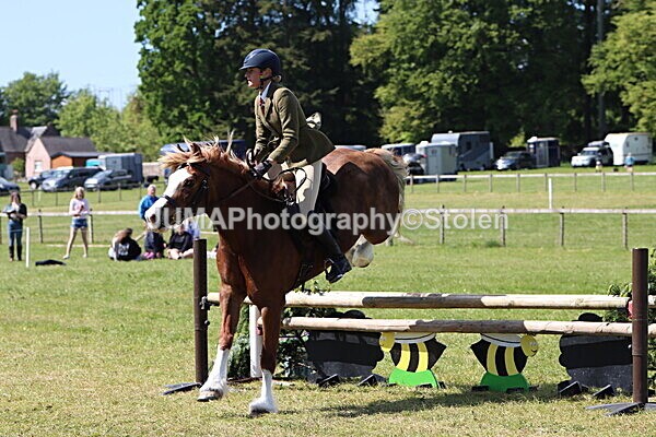 IMG_4351 - Working Hunter
