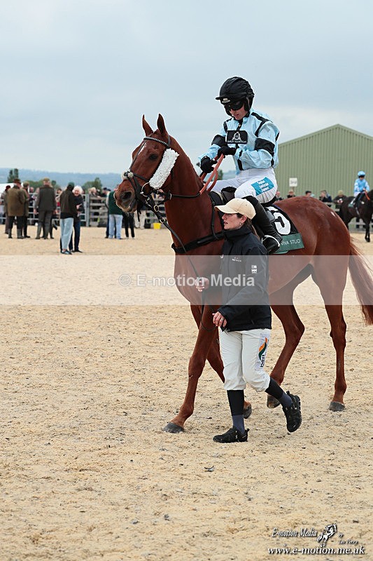 PtP 040526 25 - Mollington Point-to-Point 04/05/26