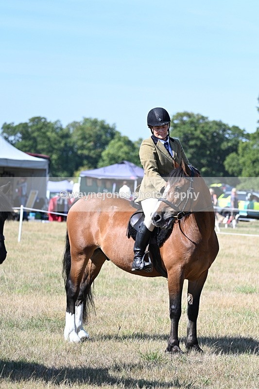 WJ7_3700 - Class 9 Mountain & Moorland Ridden