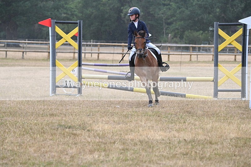 WJ6_0021 - Class 13 Novice Jumping 60cm