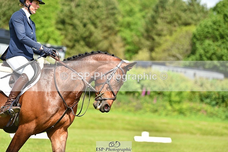 240523B-112252-01949 - 5 Year Old