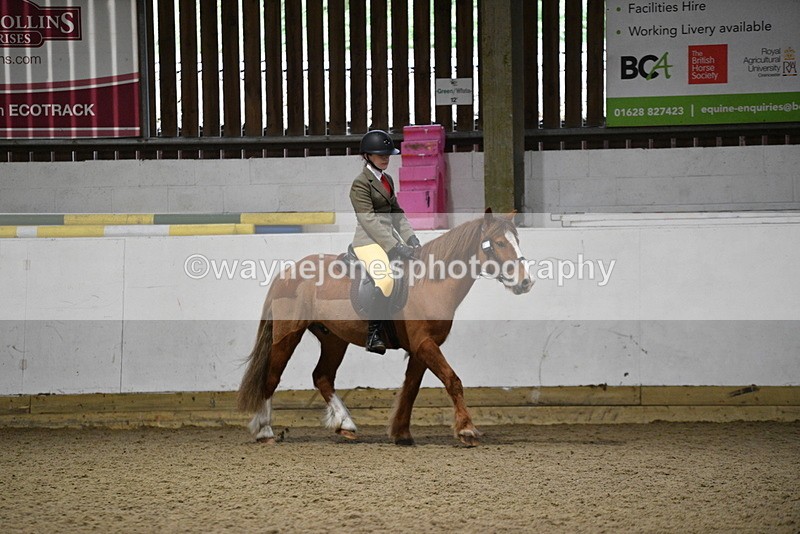 WJ5_8204 - Class 14 Novice Ridden/Rider