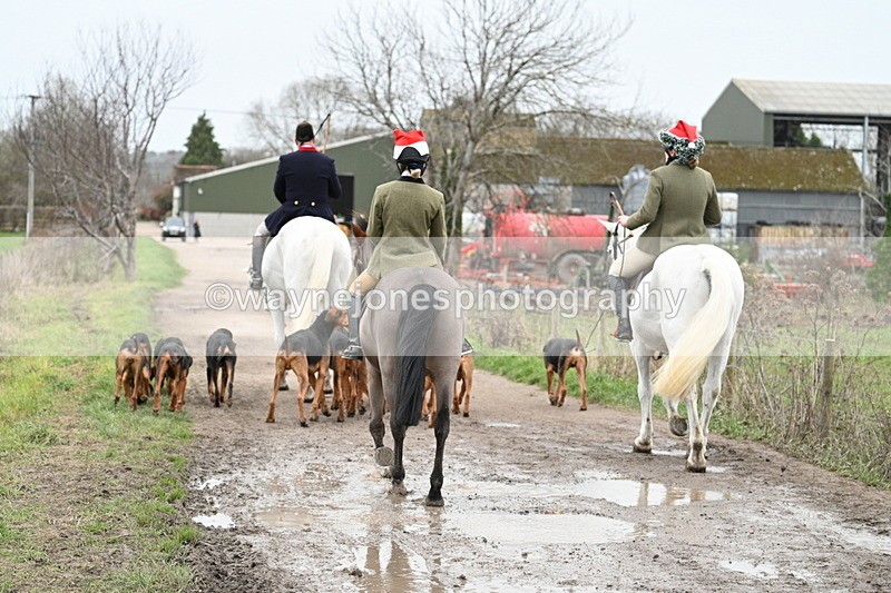 WJ7_1257 - Walk Home