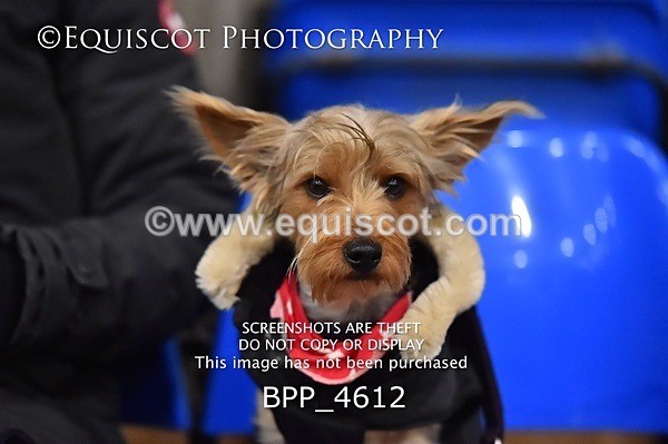 BPP_4612 - FRI CLASS 26 WINTER GRADES B&C QUALIFIER